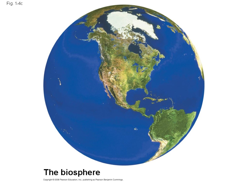 Fig. 1-4c The biosphere